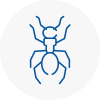 Ant Removals In Rawtenstall