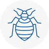 Bed Bug Extermination In Rawtenstall