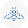Bee Nest Removal Rawtenstall