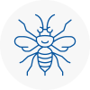 Rawtenstall Hornet Nest Removals