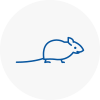 Mice Exterminators In Rawtenstall