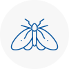 Moth Control Specialists In Rawtenstall