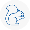 Rawtenstall Rodent Removals